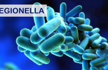 Legionella_